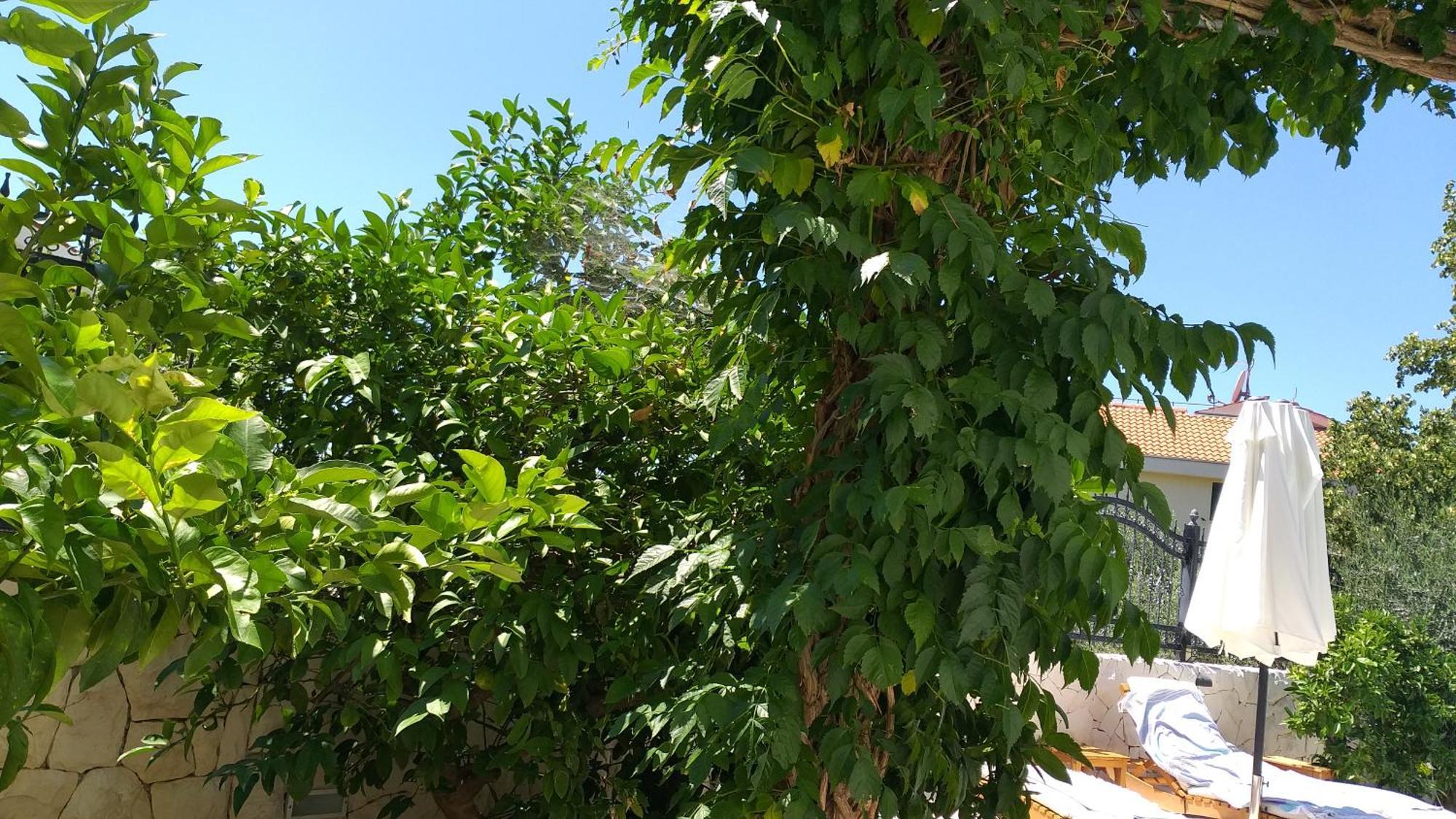 Villa Mira Trogir Pokój zdjęcie